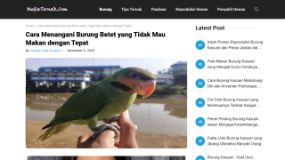 https://mediaternak.com/burung-betet-yang-tidak-mau-makan/