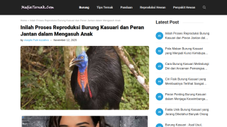 https://mediaternak.com/proses-reproduksi-burung-kasuari/