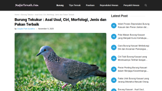 https://mediaternak.com/burung-tekukur/