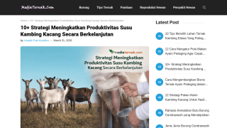 https://mediaternak.com/produktivitas-susu-kambing-kacang/