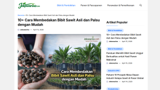 https://jokowarino.com/cara-membedakan-bibit-sawit-asli-dan-palsu/