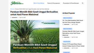 https://jokowarino.com/panduan-memilih-bibit-sawit-unggul/