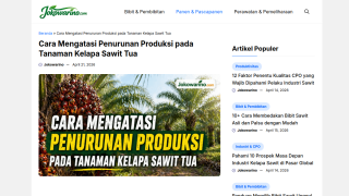 https://jokowarino.com/produksi-kelapa-sawit-tua/